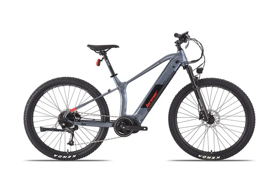 Vélo électrique pour adultes