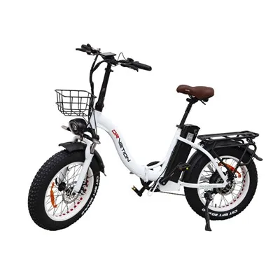 Vélo électrique à batterie amovible