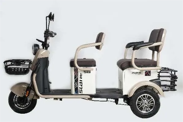 Scooters de mobilité électriques pour adultes