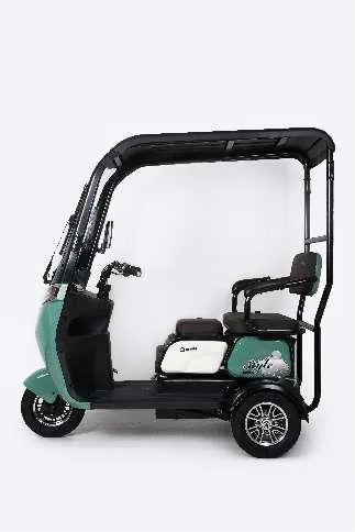 Tricycle électrique