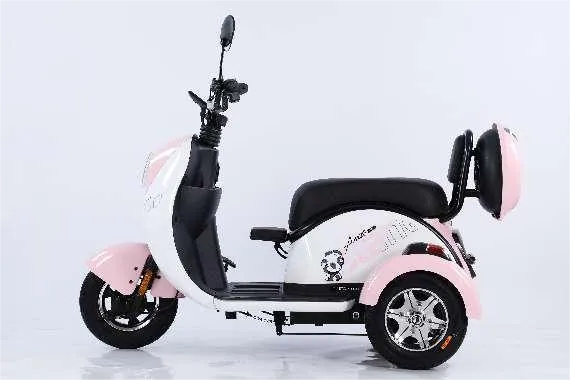 Tricycles électriques pour personnes âgées