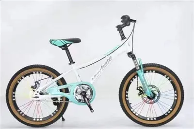 Vélos pour jeunes
